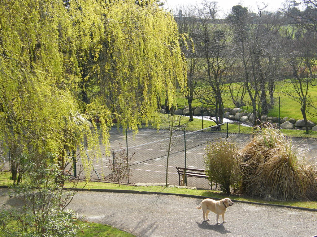 Riverfield Bed And Breakfast Gorey Exterior photo