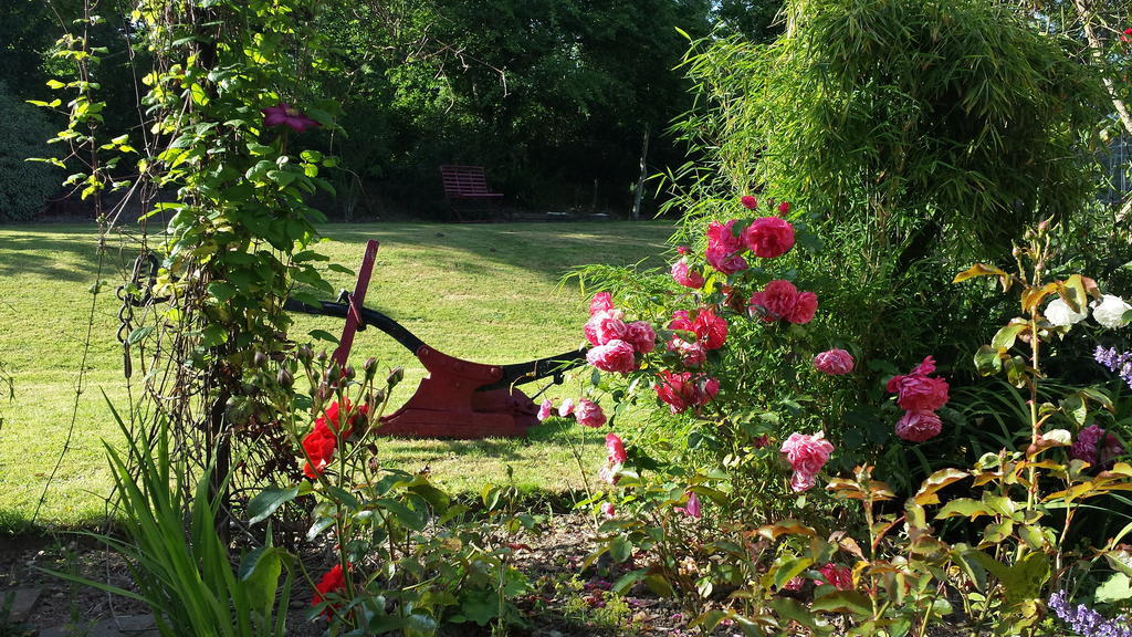 Riverfield Bed And Breakfast Gorey Exterior photo